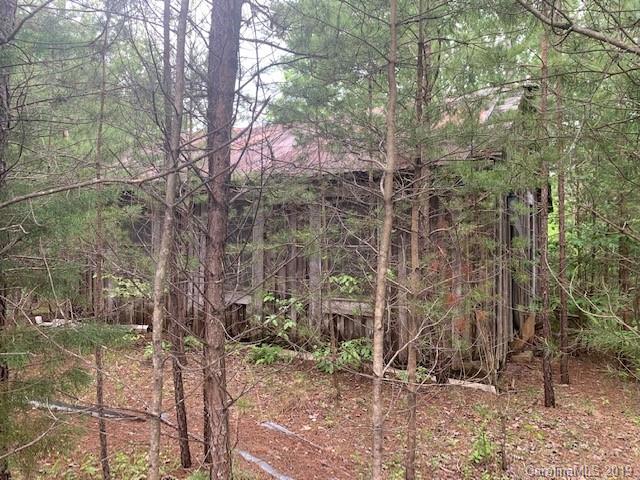 119 C L Conner Trail Rutherfordton, NC 28139 - Photo 3 of 9