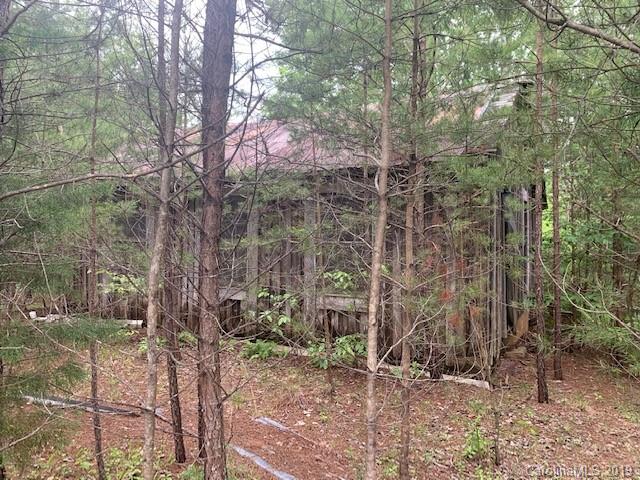 119 C L Conner Trail Rutherfordton, NC 28139 - Photo 4 of 9