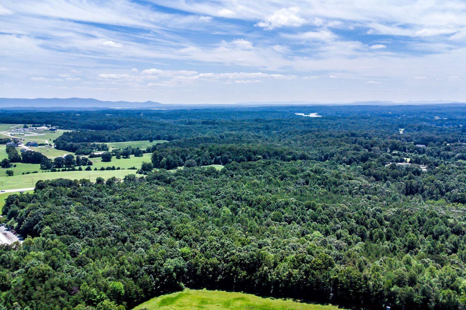 a view of a city with lush green forest