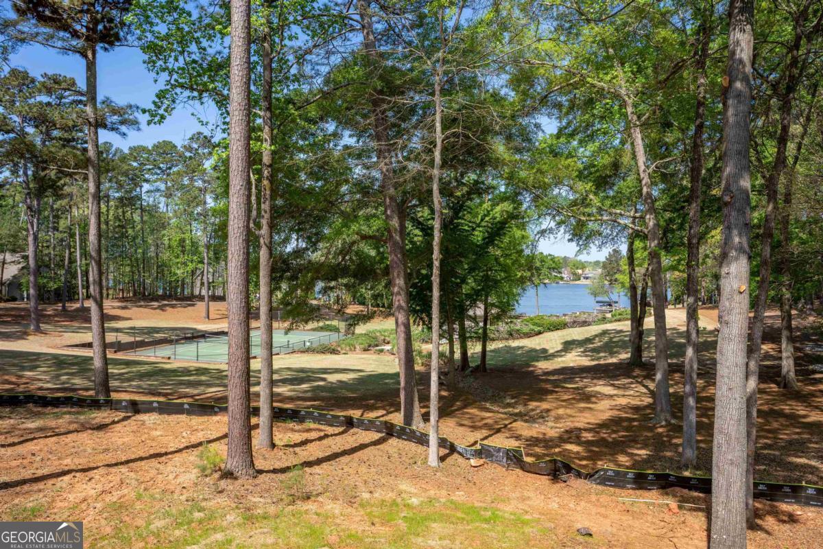 1941 Pine Grove Road Greensboro, GA 30642 - Photo 4 of 48
