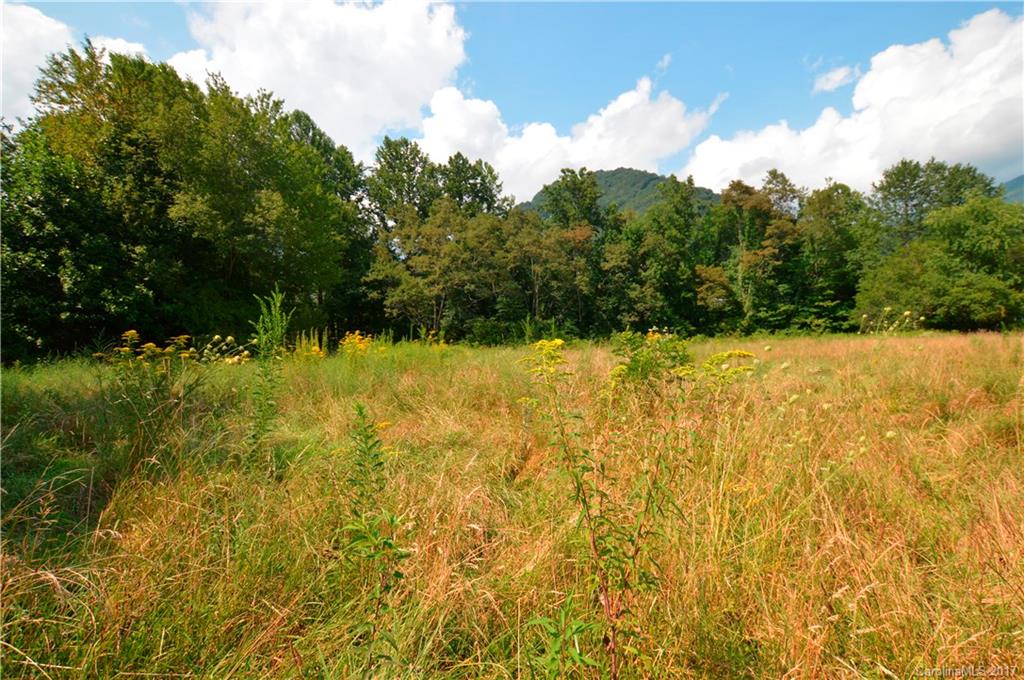 85 Setzercove Road Maggie Valley, NC 28751 - Photo 11 of 11 a view of swimming pool from a yard