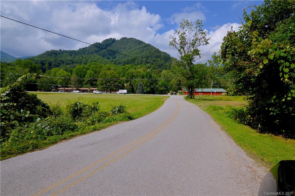 85 Setzercove Road Maggie Valley, NC 28751 - Photo 3 of 11 a view of a garden with a building in the background