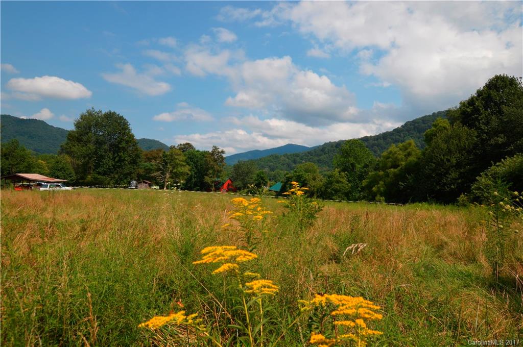 85 Setzercove Road Maggie Valley, NC 28751 - Photo 9 of 11 a view of outdoor space and yard