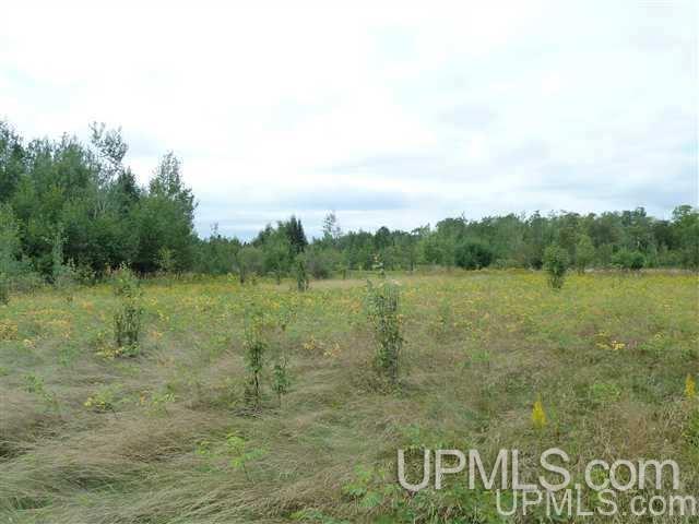 Tbd 1 Red Rock Road, Unit JACOBSVILLE Lake Linden, MI 49945 - Photo 14 of 19