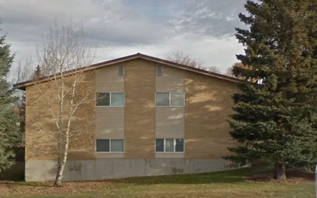 a view of a backyard with potted plants and a large tree