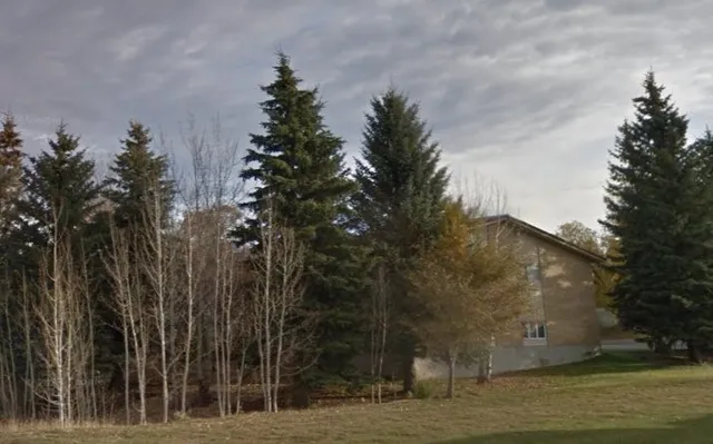 a backyard of a house with lots of green space and garden