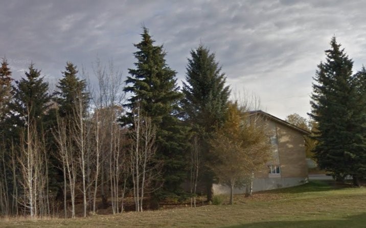 249 North 8th West St. Anthony, ID 83445 - Photo 5 of 6 a view of a yard