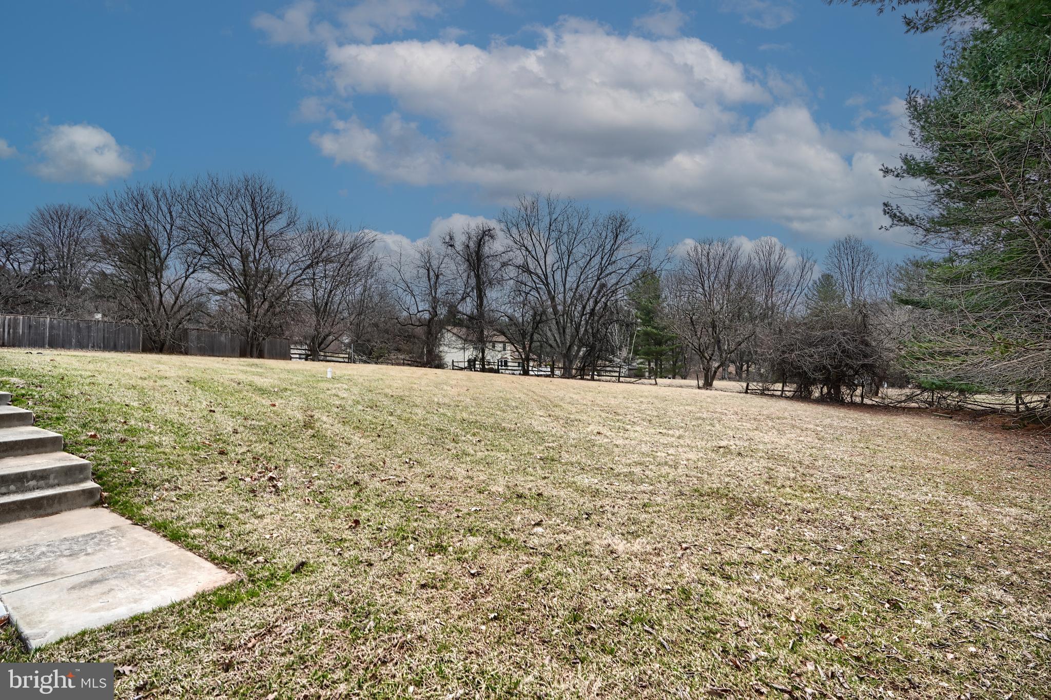 12327 Timber Grove Road Owings Mills, MD 21117 - Photo 60 of 60 Back yard