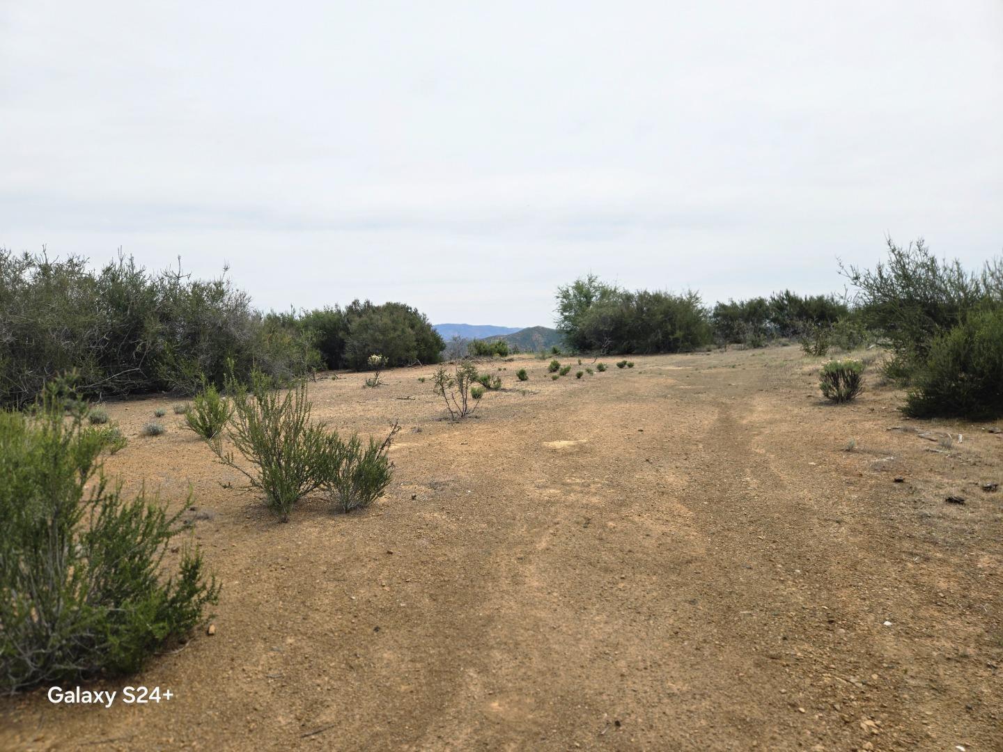 0 San Antonio Valley Road Livermore, CA 94550 - Photo 11 of 22 a view of a field with trees in background