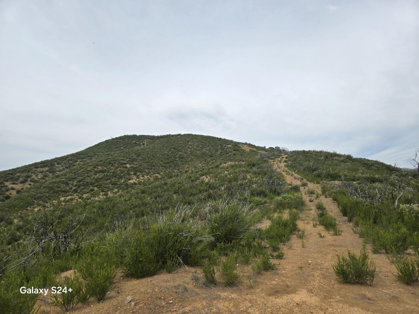 0 San Antonio Valley Road Livermore, CA 94550 - Photo 21 of 22 a view of a mountain range with lush green forest