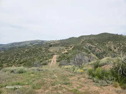 a view of a mountain range with lush green forest