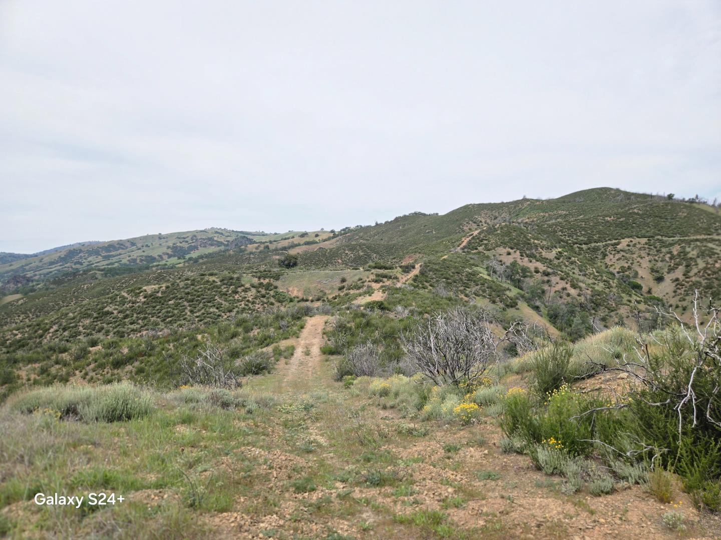 0 San Antonio Valley Road Livermore, CA 94550 - Photo 3 of 22 a view of a mountain range with lush green forest