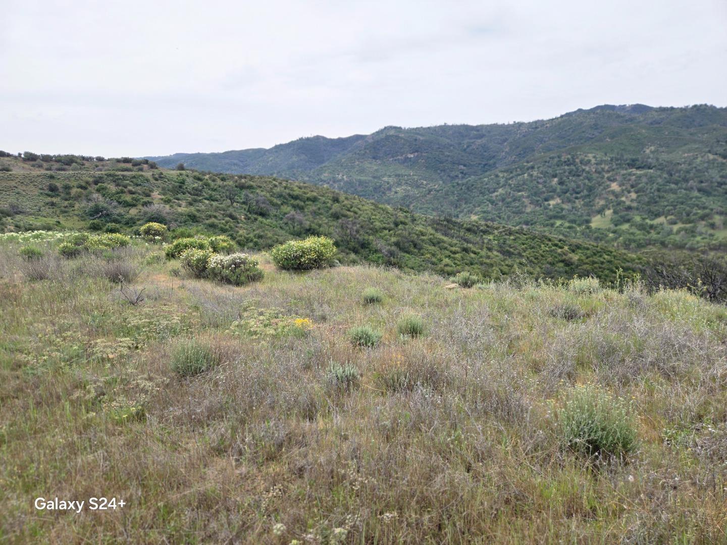 0 San Antonio Valley Road Livermore, CA 94550 - Photo 6 of 22 a view of a mountain range with lush green forest