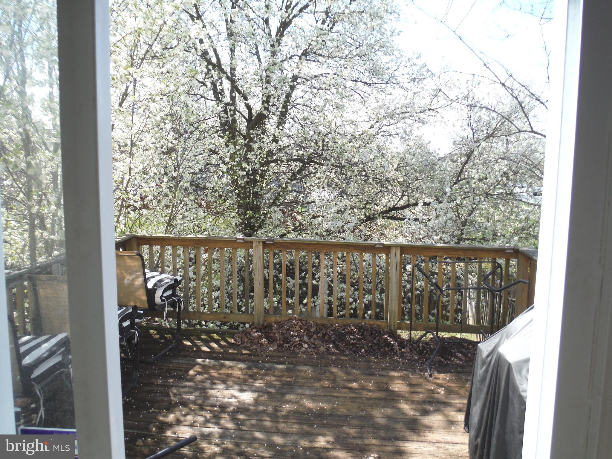 1303 Apple Ridge Court Edgewood, MD 21040 - Photo 12 of 24 Back Deck