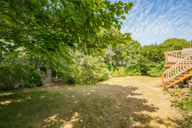 a view of a garden with a tree in the background