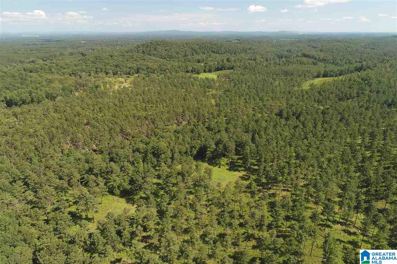 827 Colleton Forest Way, Unit 20 ACRES Vincent, AL 35178 - Photo 26 of 31