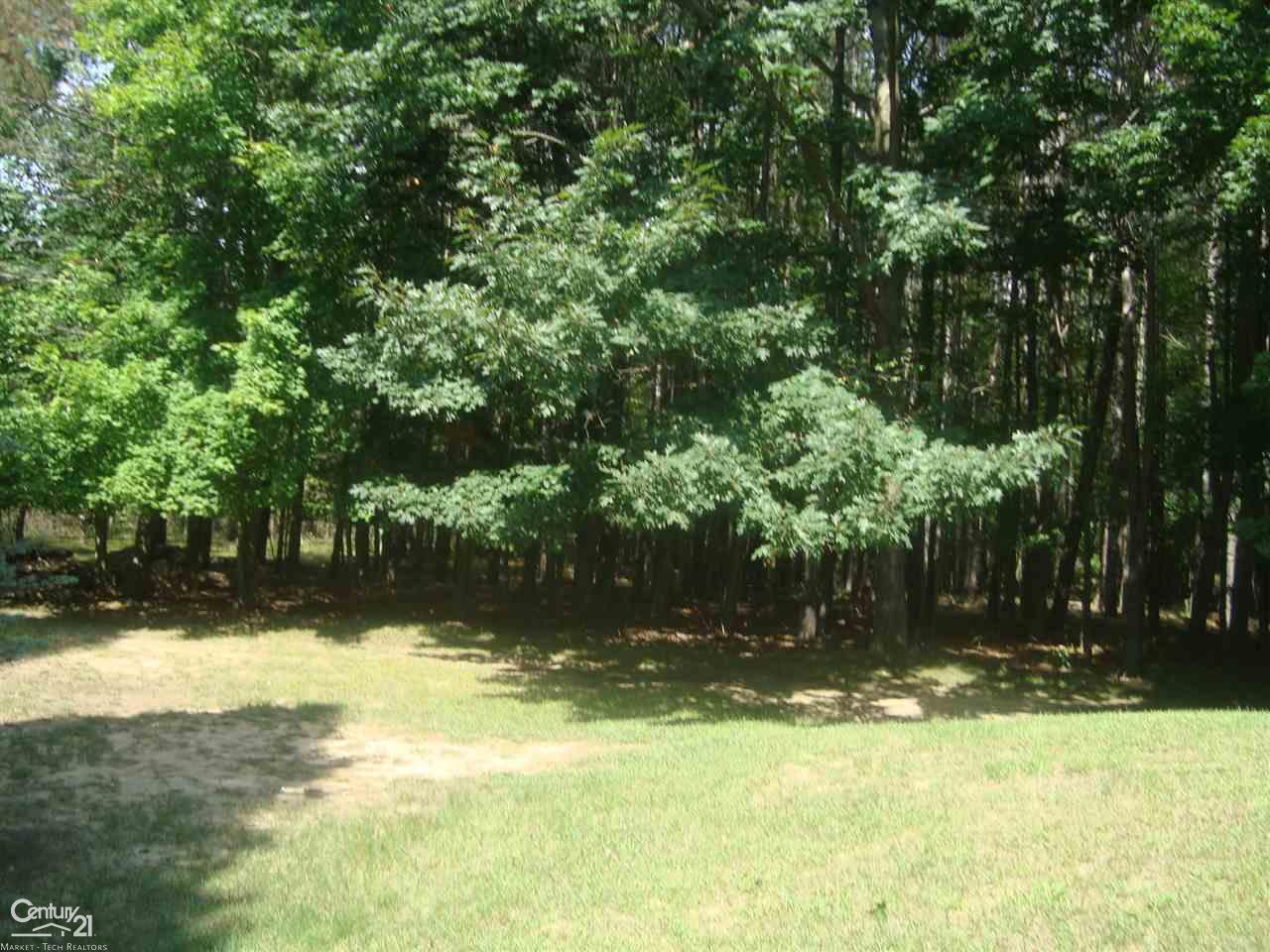 1390 West Youngs Road Gladwin, MI 48624 - Photo 47 of 75