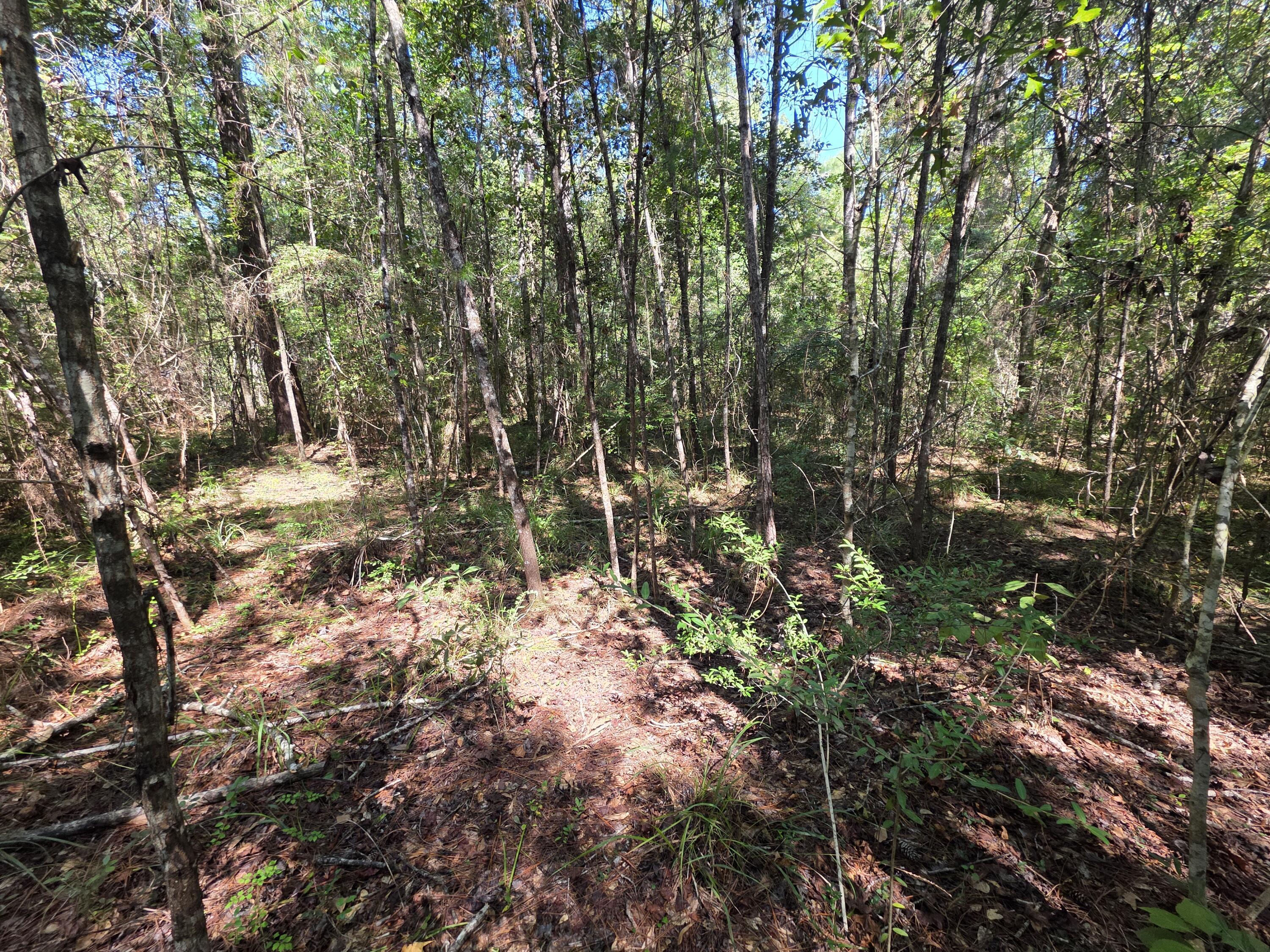 Lot 1-2 Antioch Road Crestview, FL 32536 - Photo 3 of 11 1000059453
