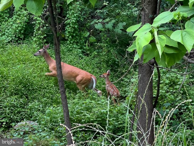 $710,000 | 932 Valley Forge Road, Phoenixville, PA 19460