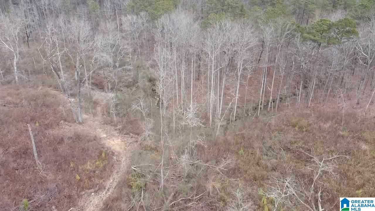 8429 Wade Road, Unit 1 Warrior, AL 35180 - Photo 5 of 8