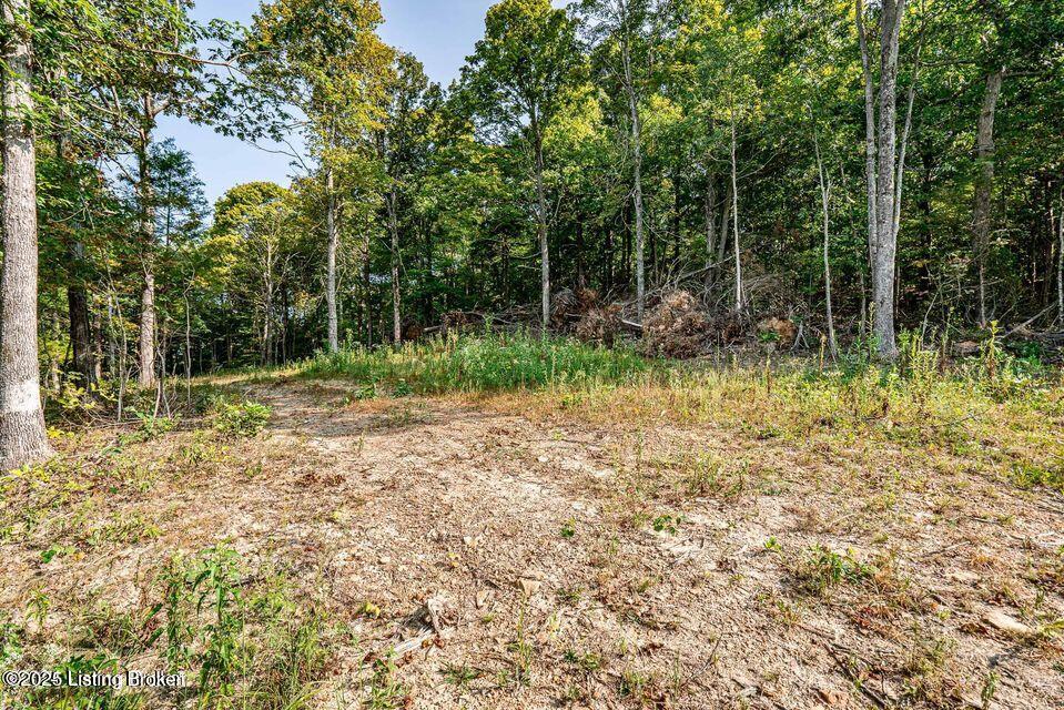 11451 Leitchfield Road Cecilia, KY 42724 - Photo 11 of 21 20240909183544138266000000-o