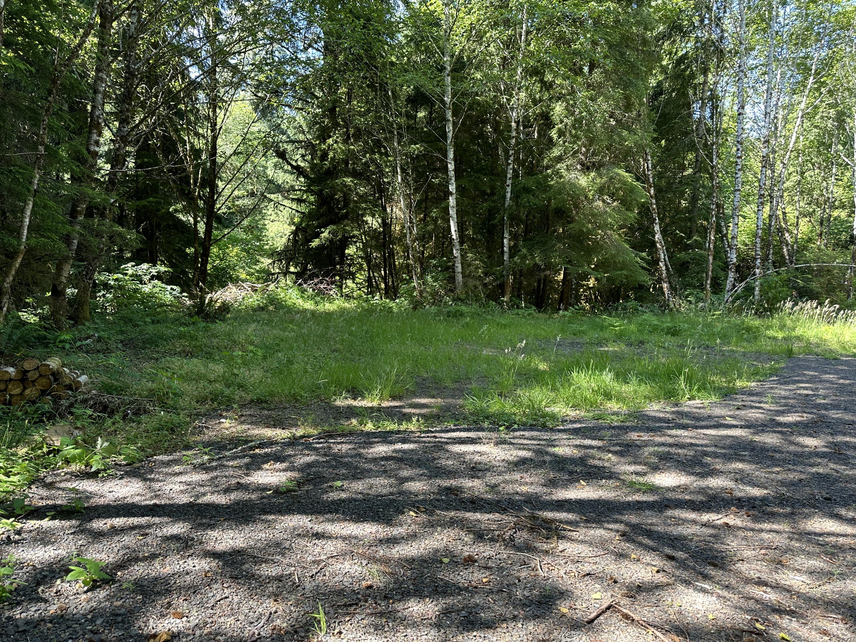 Lot#00300 Whiskey Creek Road Tillamook, OR 97141 - Photo 7 of 14 Private and Secluded