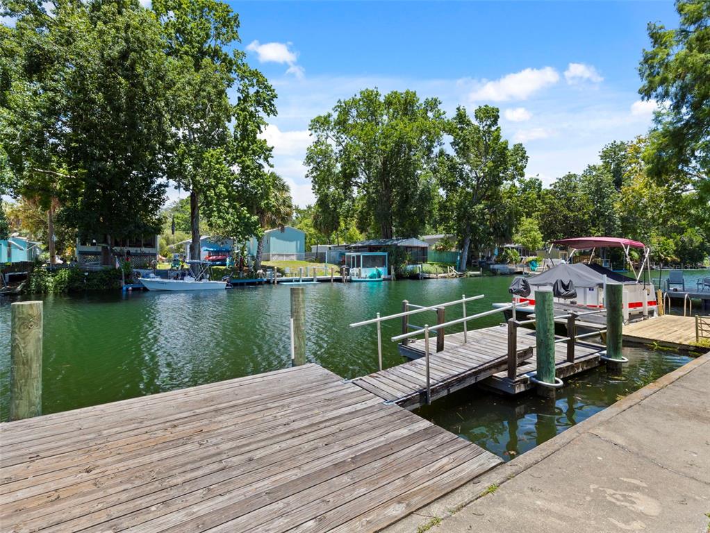 6297 Fine Street Weeki Wachee, FL 34607 - Photo 34 of 52