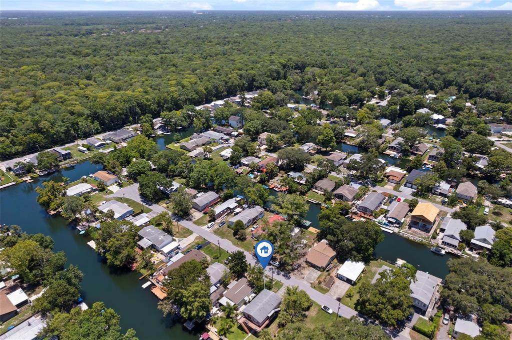 6297 Fine Street Weeki Wachee, FL 34607 - Photo 49 of 52 an aerial view of a houses with a yard
