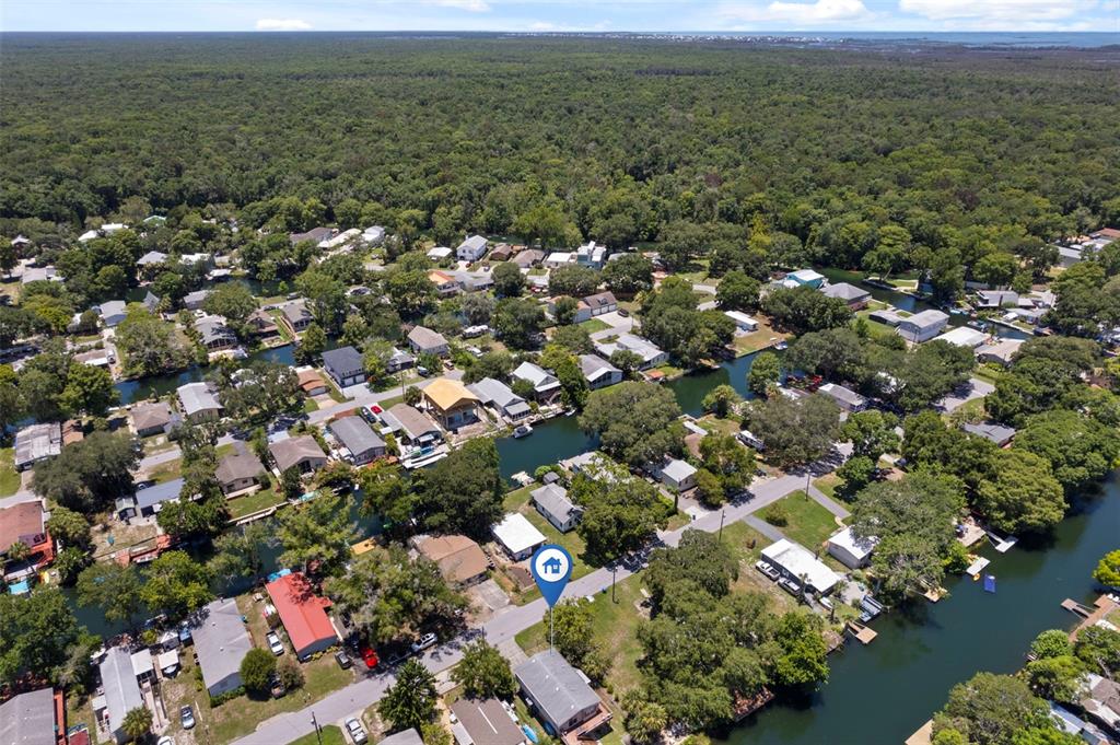 6297 Fine Street Weeki Wachee, FL 34607 - Photo 50 of 52 an aerial view of a houses with a yard