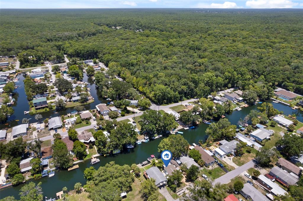 6297 Fine Street Weeki Wachee, FL 34607 - Photo 51 of 52 a view of a lush green field