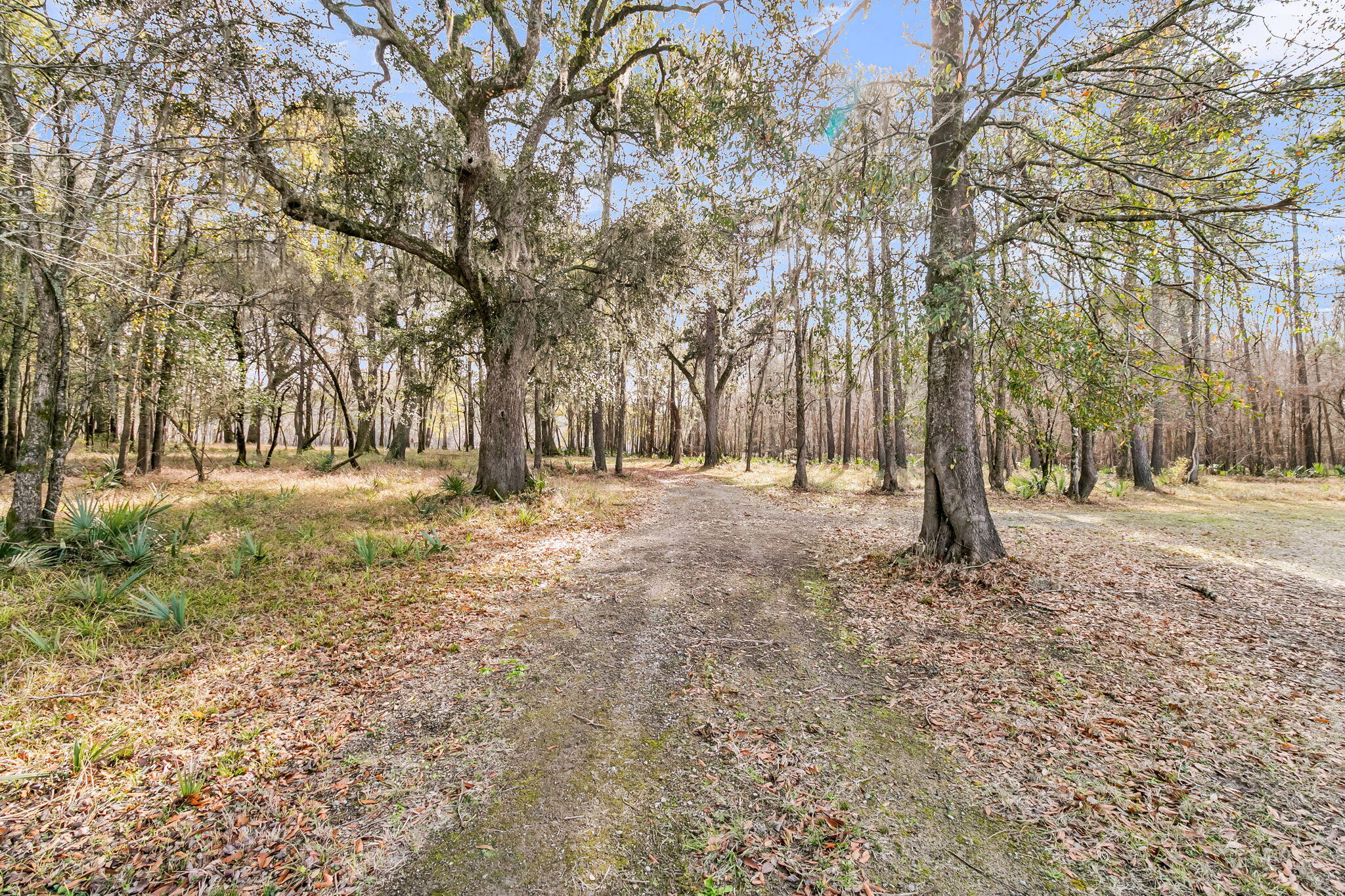 235 Pine Bluff Road Dorchester, SC 29437 - Photo 39 of 100 CREM - 235 Pine Bluff Rd-58