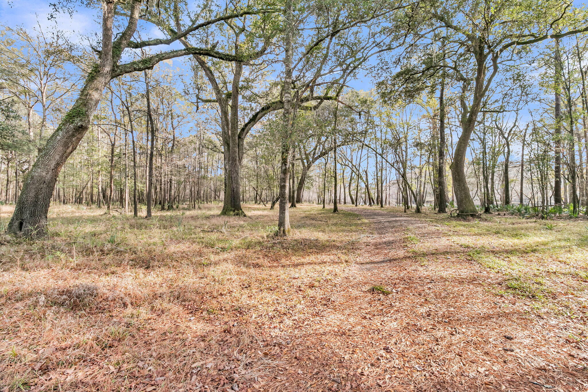 235 Pine Bluff Road Dorchester, SC 29437 - Photo 40 of 100 CREM - 235 Pine Bluff Rd-59