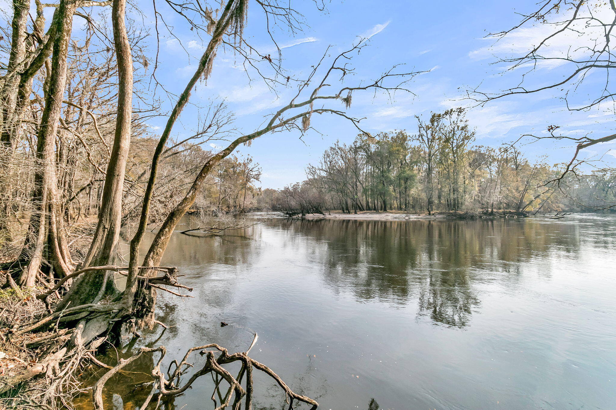 235 Pine Bluff Road Dorchester, SC 29437 - Photo 42 of 100 CREM - 235 Pine Bluff Rd-61