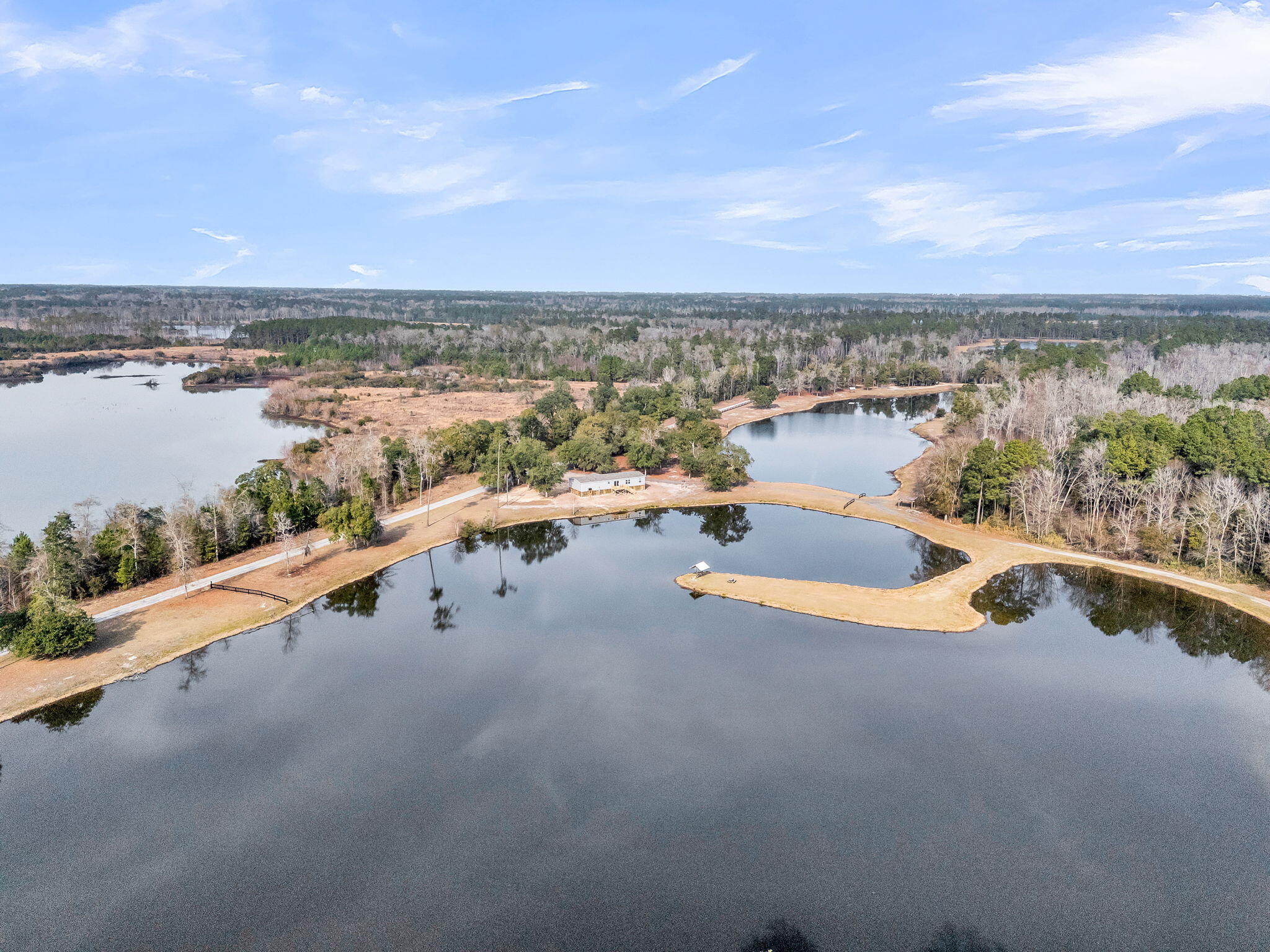 235 Pine Bluff Road Dorchester, SC 29437 - Photo 69 of 100 CREM - 235 Pine Bluff Rd-6