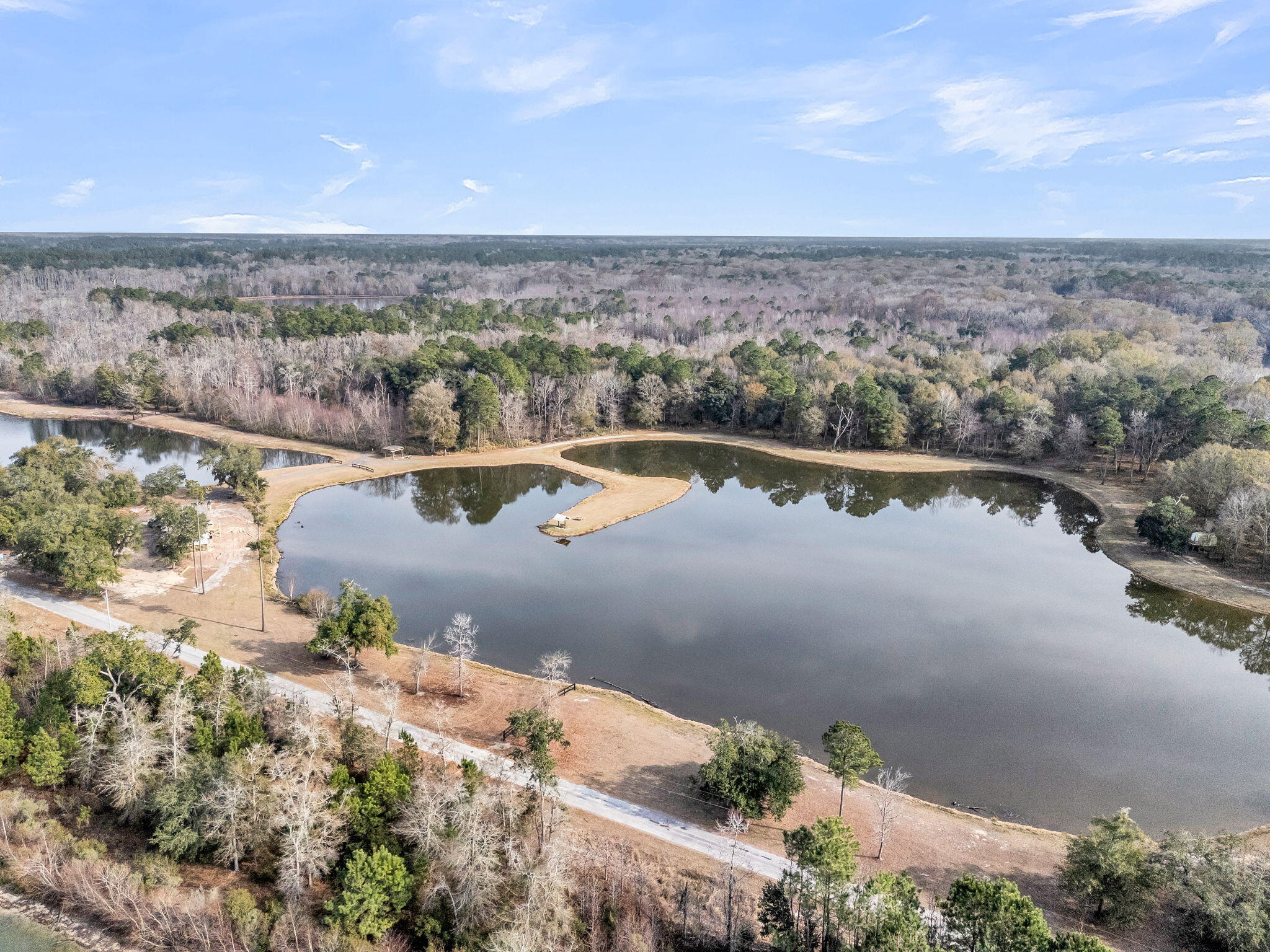 235 Pine Bluff Road Dorchester, SC 29437 - Photo 71 of 100 CREM - 235 Pine Bluff Rd-7