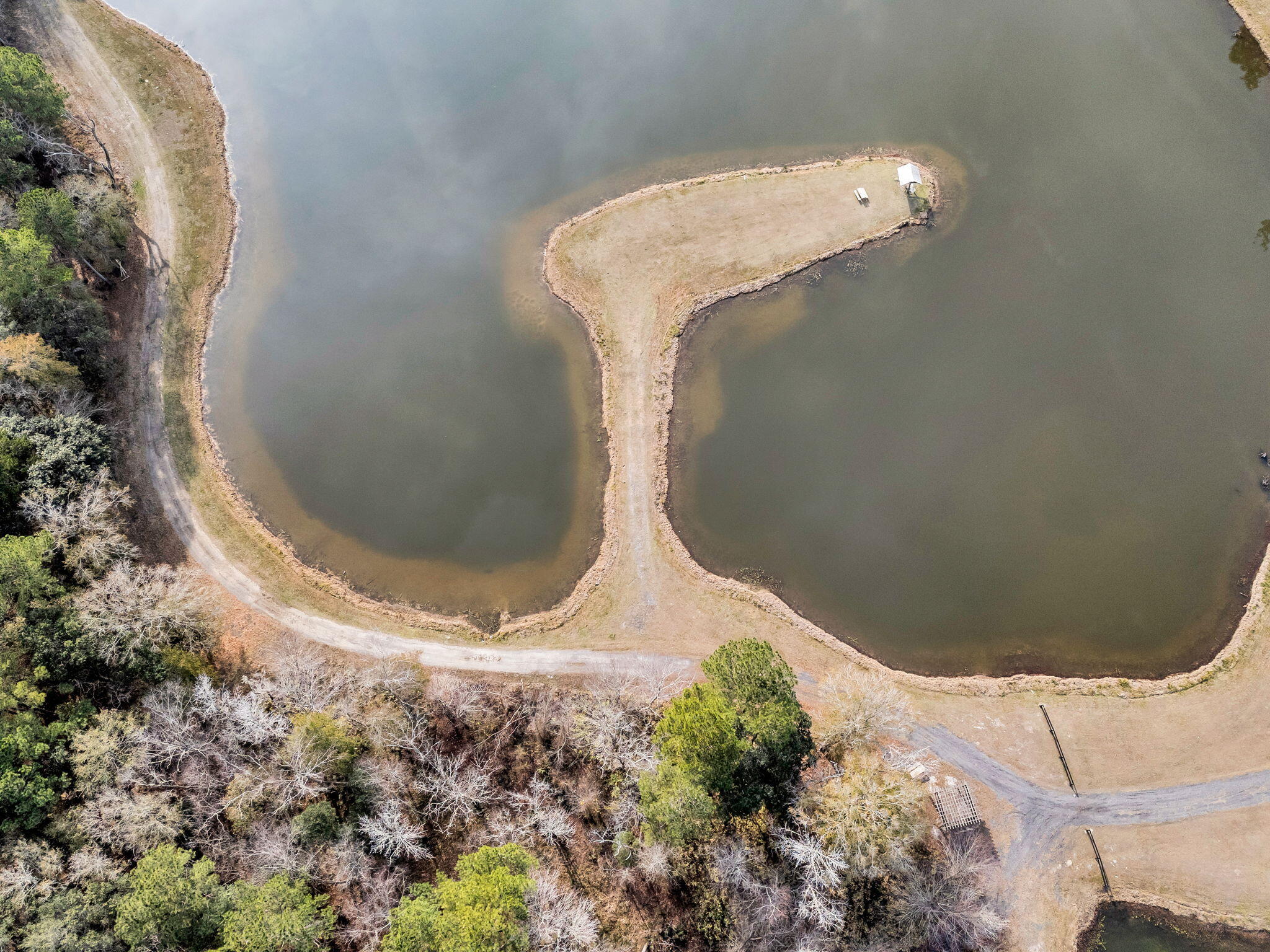 235 Pine Bluff Road Dorchester, SC 29437 - Photo 79 of 100 CREM - 235 Pine Bluff Rd-12