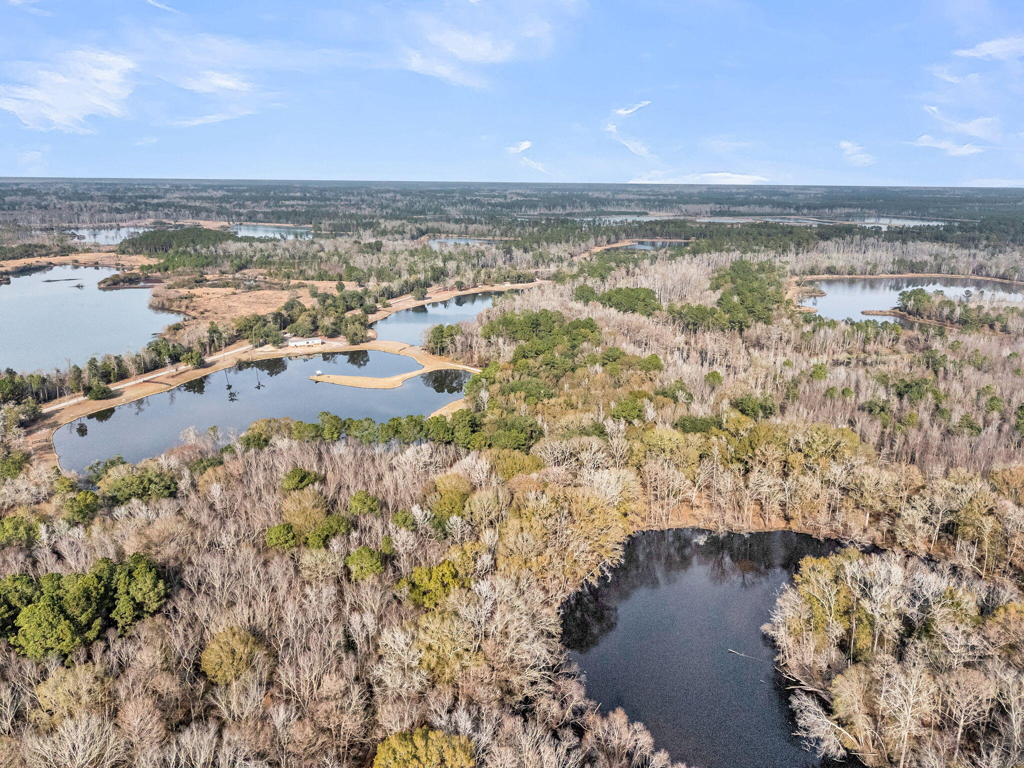 235 Pine Bluff Road Dorchester, SC 29437 - Photo 83 of 100 CREM - 235 Pine Bluff Rd-14