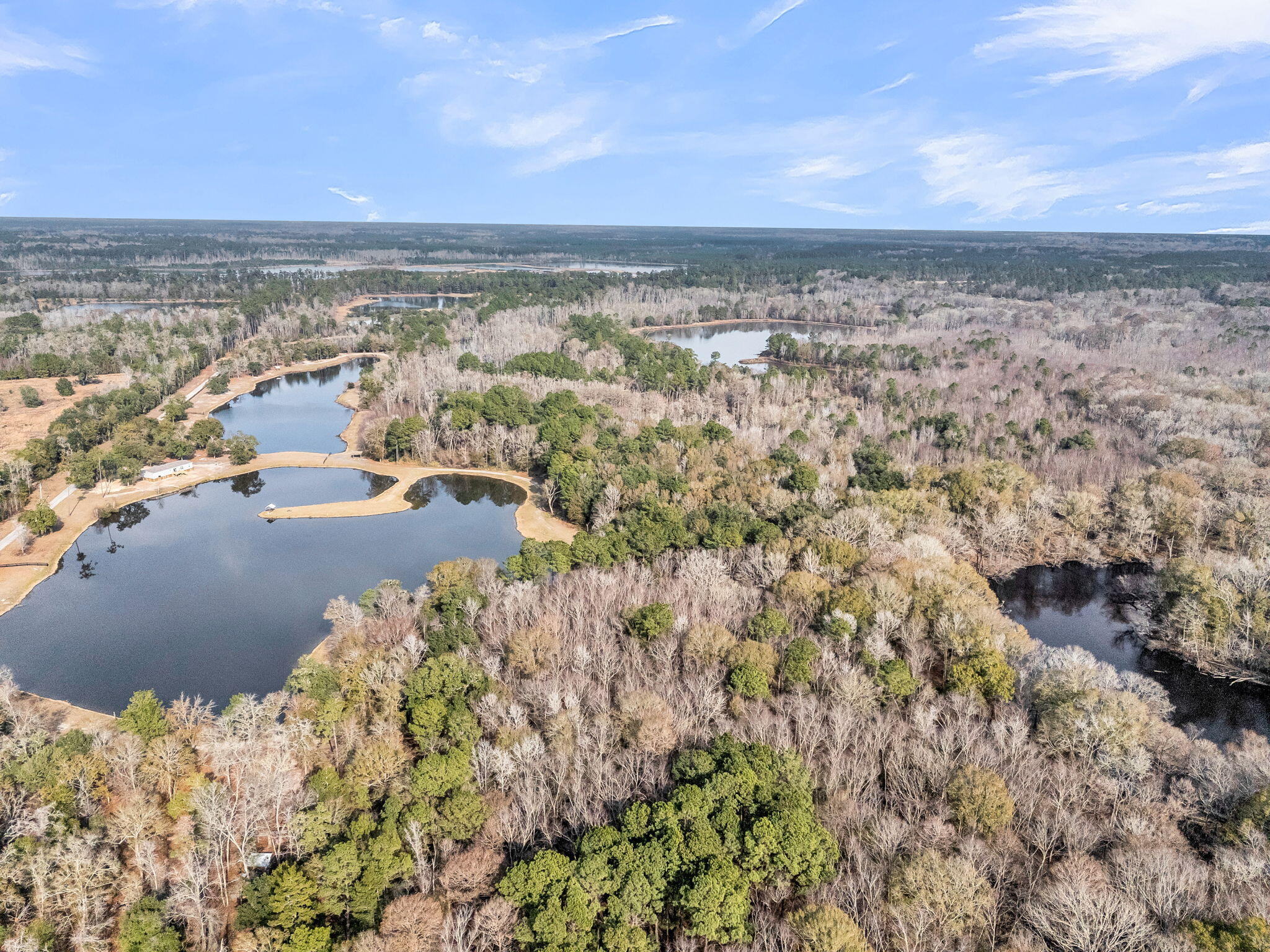 235 Pine Bluff Road Dorchester, SC 29437 - Photo 85 of 100 CREM - 235 Pine Bluff Rd-15