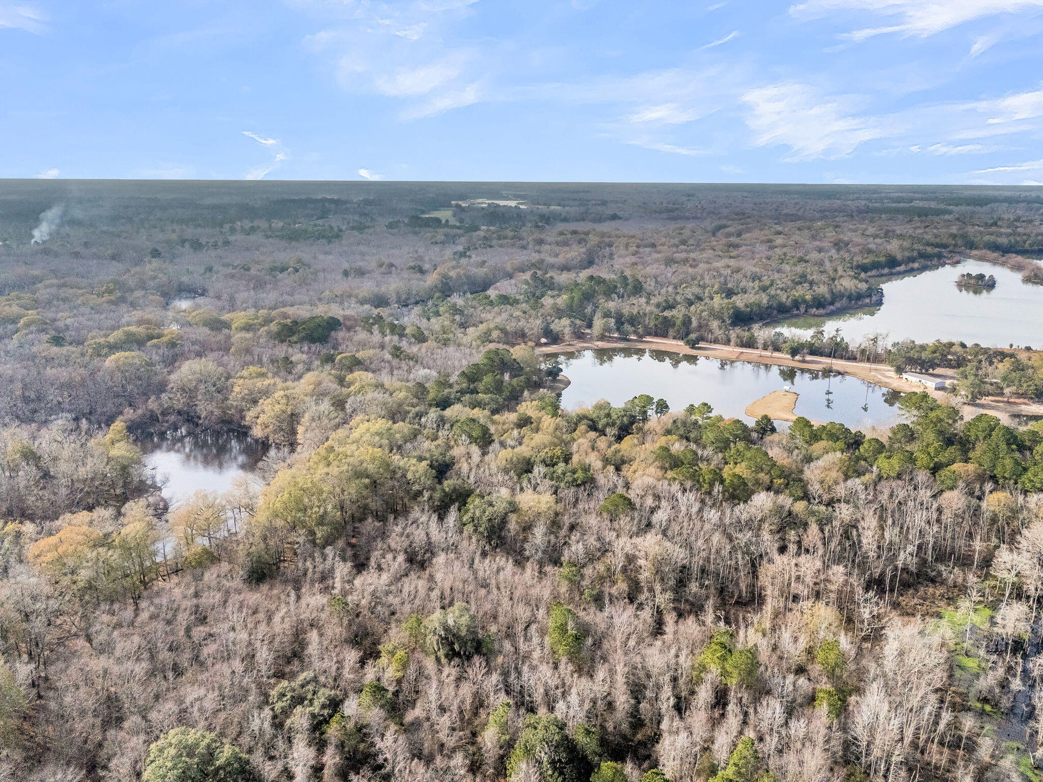 235 Pine Bluff Road Dorchester, SC 29437 - Photo 93 of 100 CREM - 235 Pine Bluff Rd-19