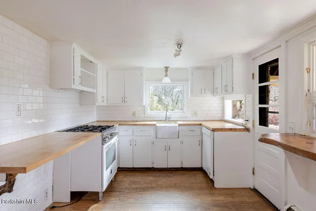 a kitchen with a sink a stove and cabinets