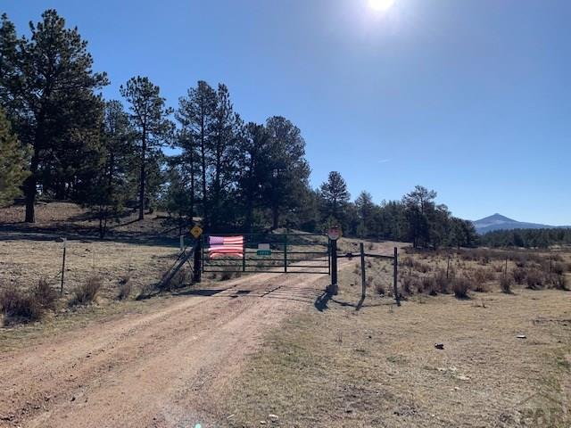 4575 Doe Valley Road Guffey, CO 80820 - Photo 39 of 47