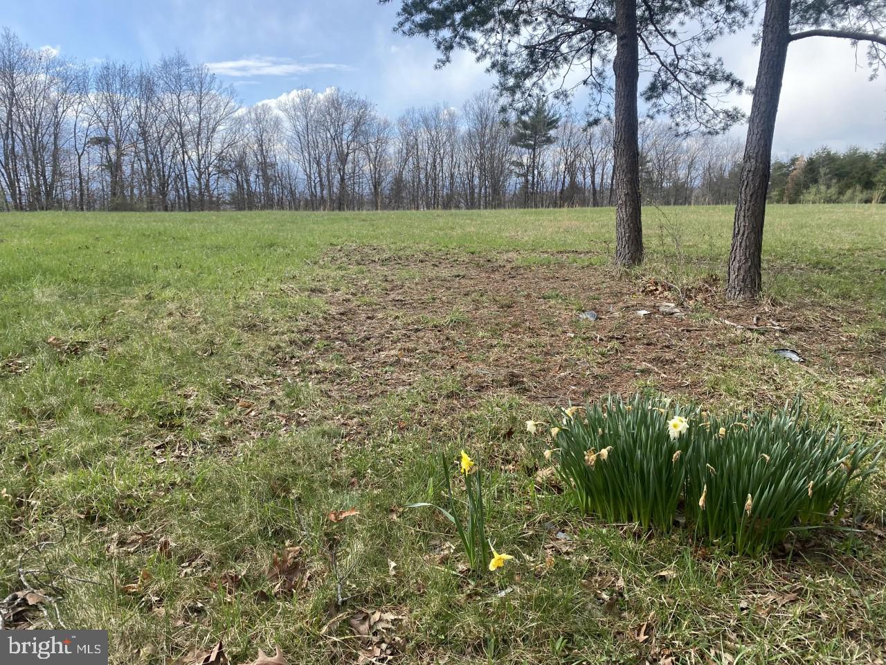 Lot 53-a & F Hunting Ridge Road Winchester, VA 22603 - Photo 1 of 1 Gallery Image 1