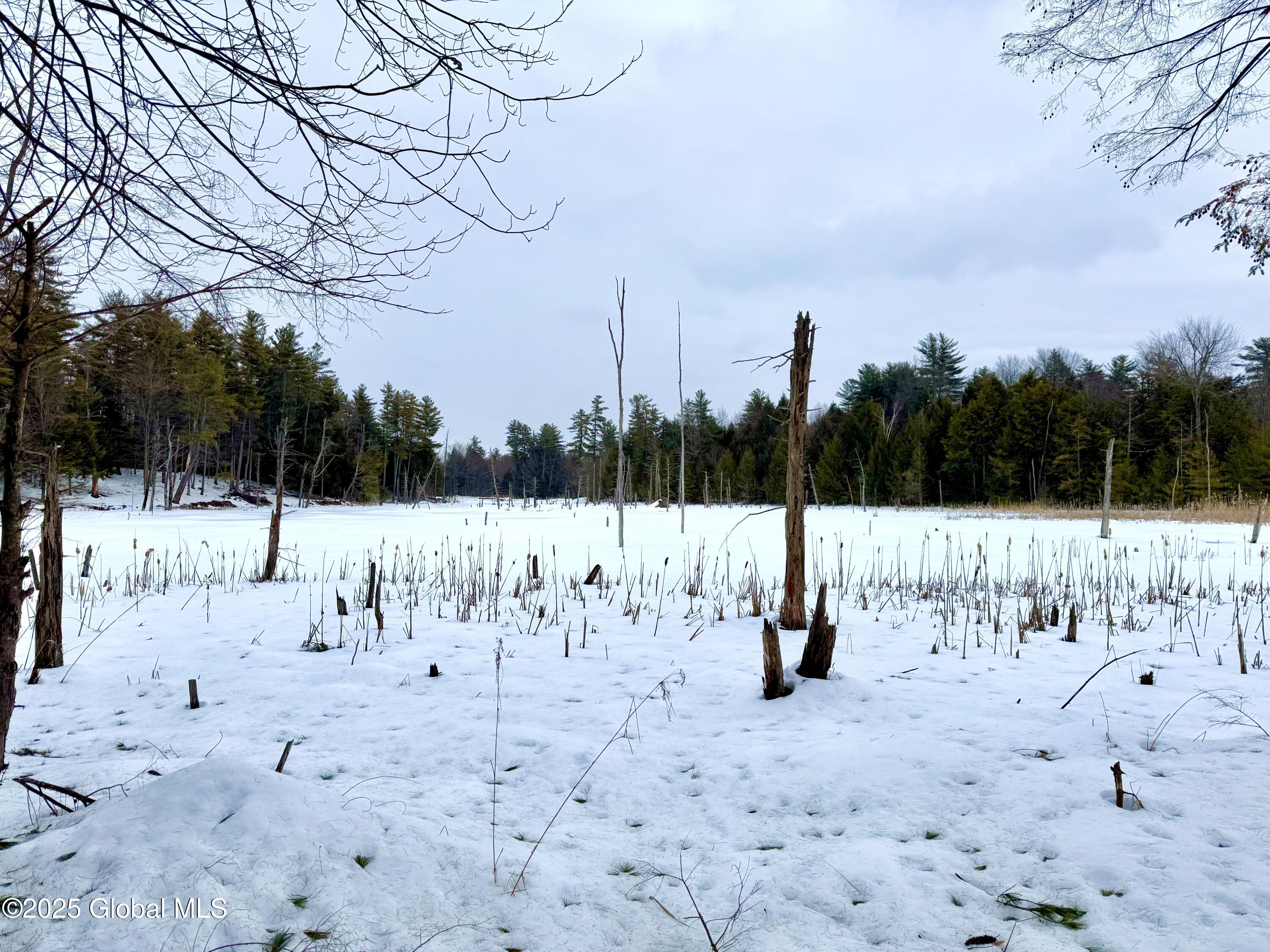 L26.111 Gabriel Road Corinth, NY 12822 - Photo 5 of 7 IMG_2354