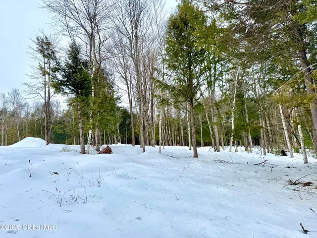 $299,900 | L26.111 Gabriel Road, Corinth, NY 12822