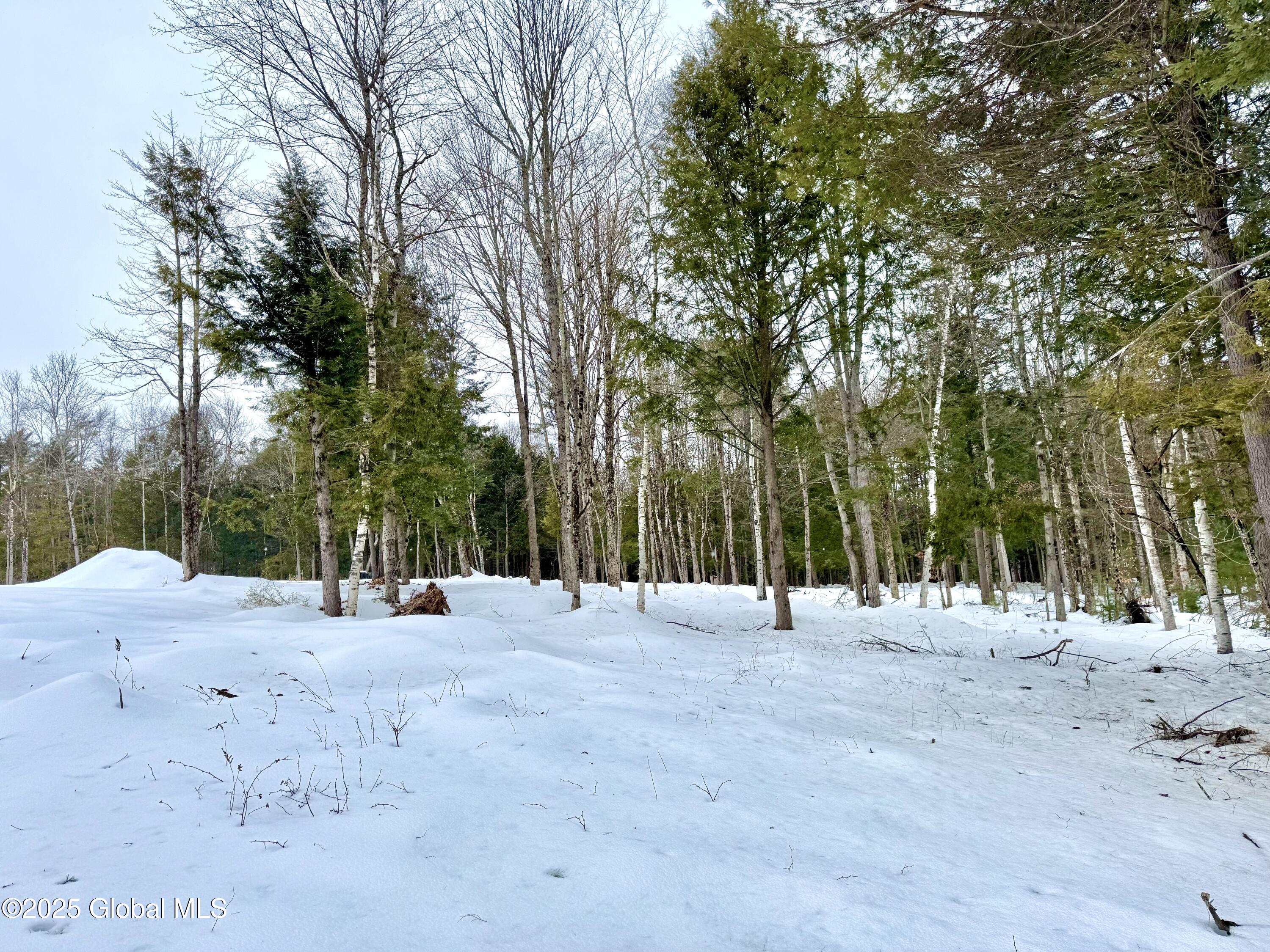 L26.111 Gabriel Road Corinth, NY 12822 - Photo 6 of 7 IMG_2355