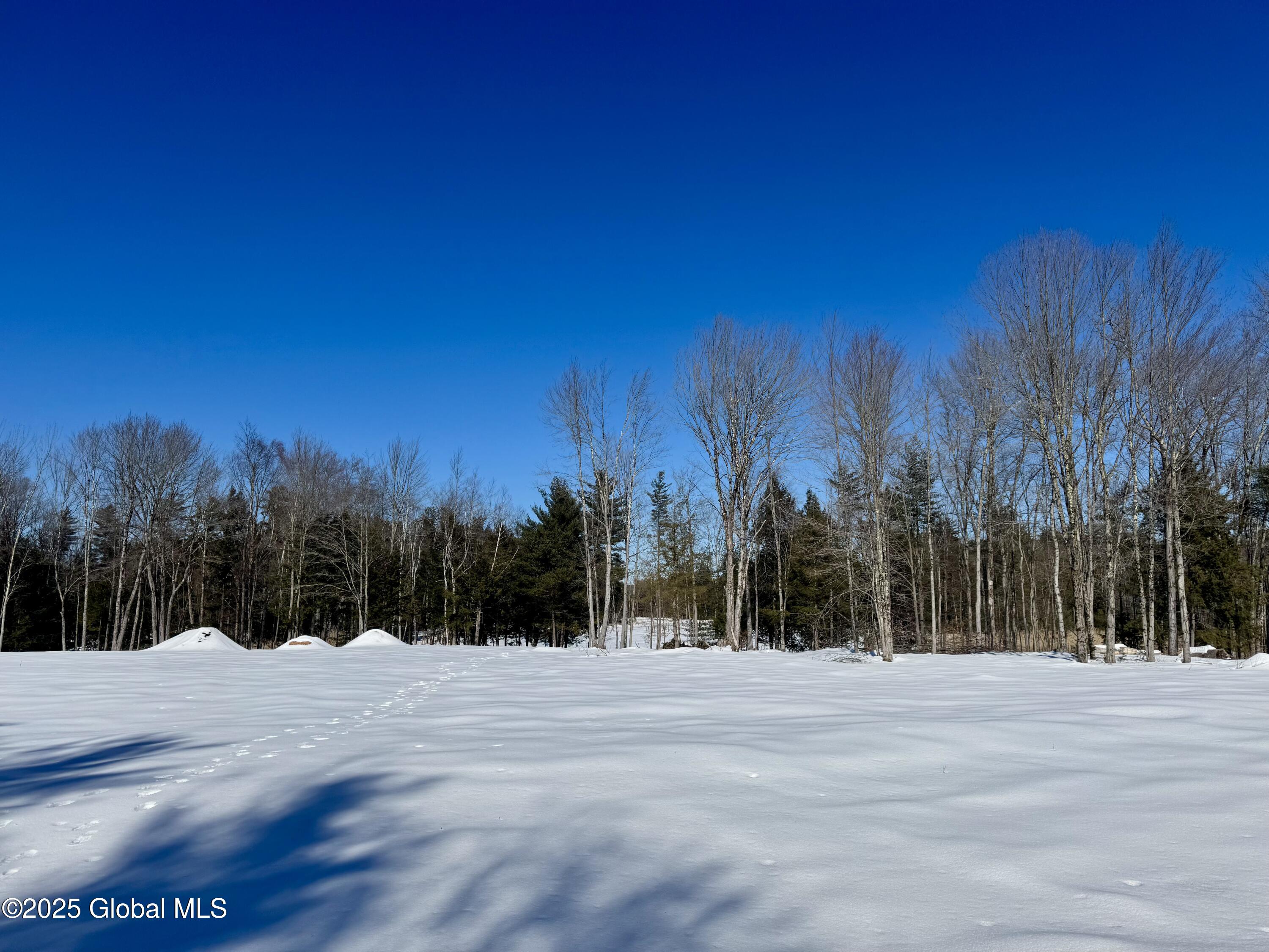 L26.111 Gabriel Road Corinth, NY 12822 - Photo 7 of 7 IMG_2363