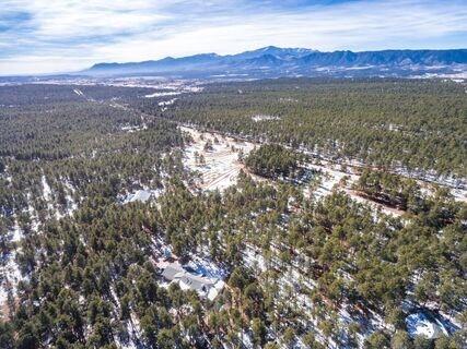 16375 Roller Coaster Road Colorado Springs, CO 80921 - Photo 2 of 36