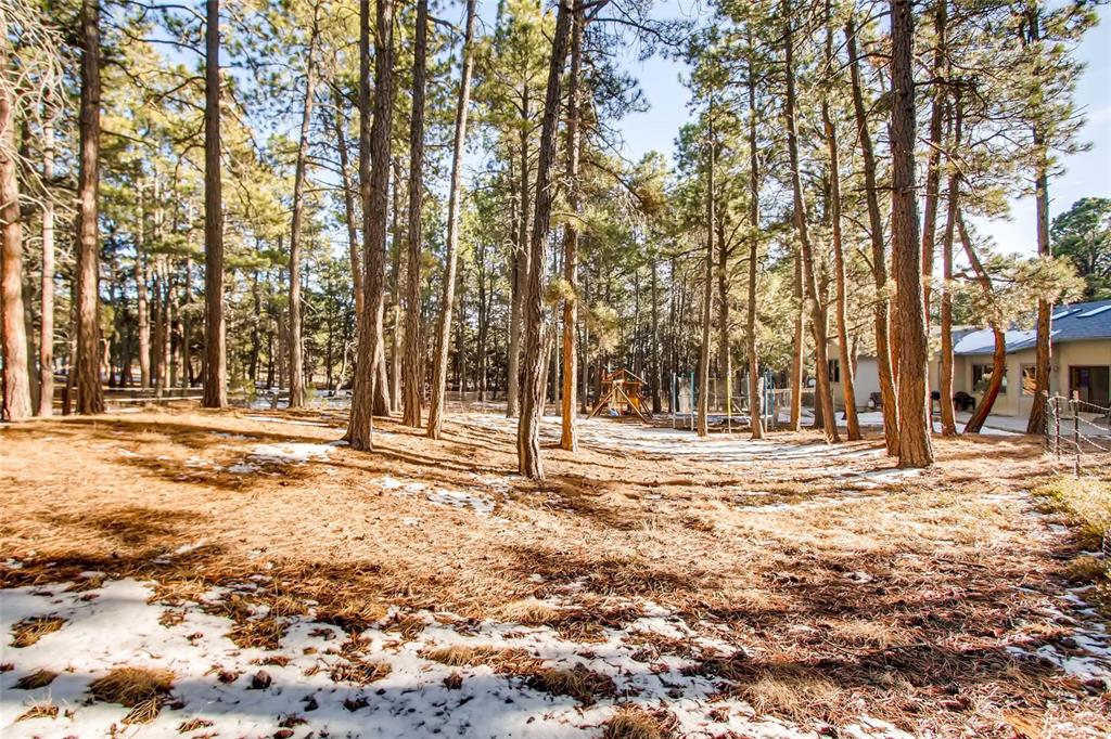 16375 Roller Coaster Road Colorado Springs, CO 80921 - Photo 31 of 36
