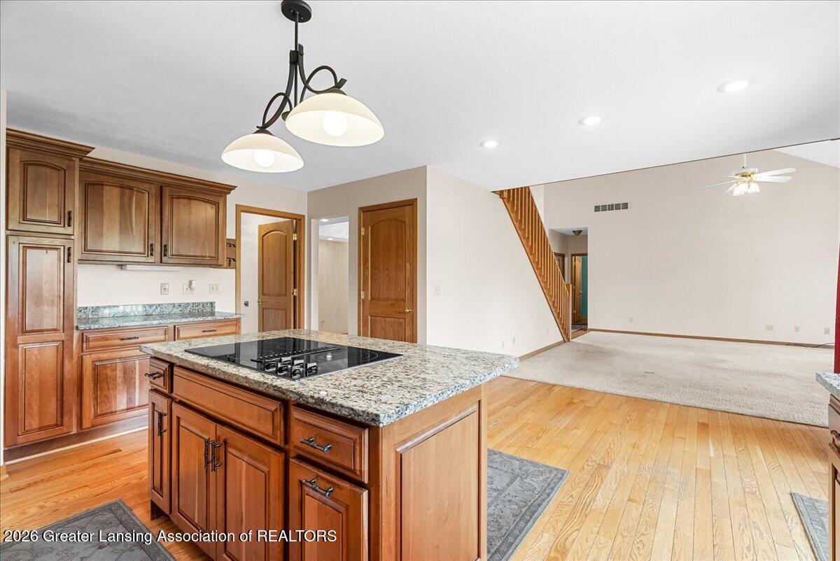 5265 North Canal Road Dimondale, MI 48821 - Photo 15 of 57 29-Media Jett - 17