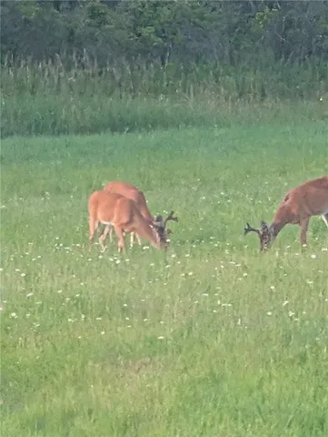 $1,200,000 | 7157 Ridge Road, Mahaffey, PA 15757